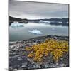 Greenland, Diskobay, Reefs, Sea with Icebergs-Luciano Gaudenzio-Mounted Photographic Print