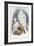 Greenland Falcon, 1862-1873-John Gould-Framed Giclee Print