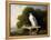 Greenland Falcon (Grey Falcon), 1780 (Oil on Panel)-George Stubbs-Framed Premier Image Canvas