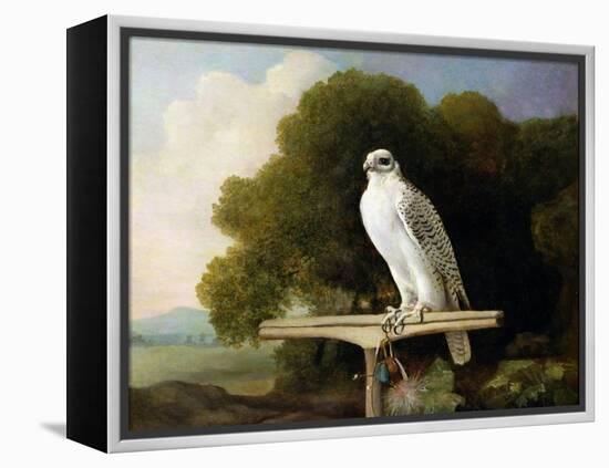 Greenland Falcon (Grey Falcon), 1780 (Oil on Panel)-George Stubbs-Framed Premier Image Canvas