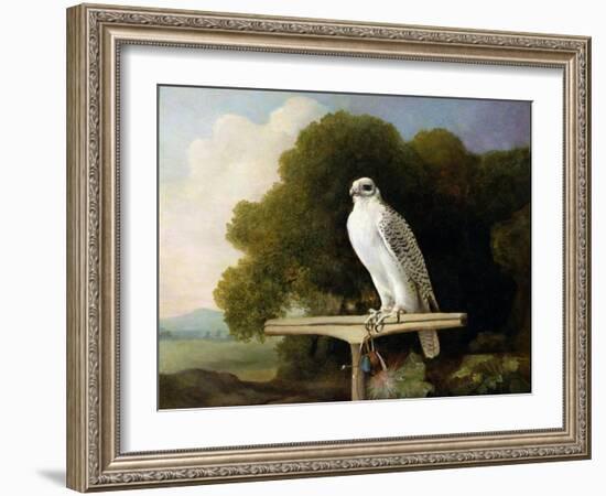 Greenland Falcon (Grey Falcon), 1780 (Oil on Panel)-George Stubbs-Framed Giclee Print