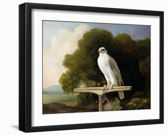 Greenland Falcon (Grey Falcon), 1780 (Oil on Panel)-George Stubbs-Framed Giclee Print