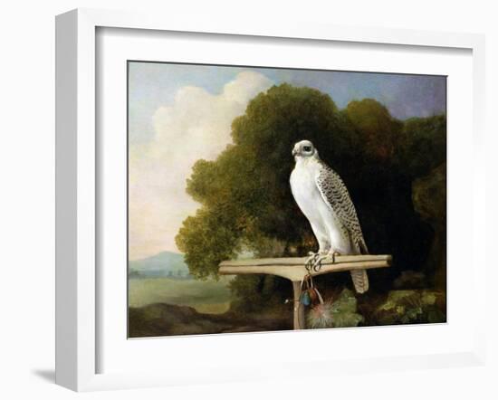 Greenland Falcon (Grey Falcon), 1780 (Oil on Panel)-George Stubbs-Framed Giclee Print