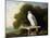 Greenland Falcon (Grey Falcon), 1780 (Oil on Panel)-George Stubbs-Mounted Giclee Print