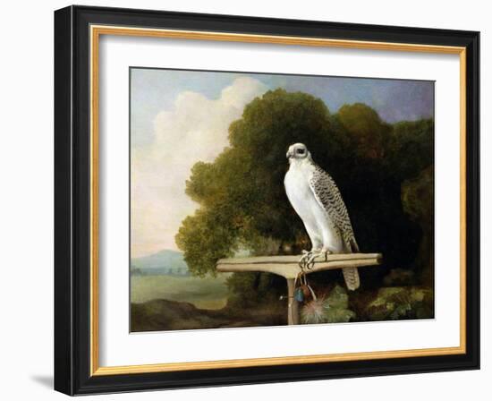 Greenland Falcon (Grey Falcon), 1780 (Oil on Panel)-George Stubbs-Framed Giclee Print