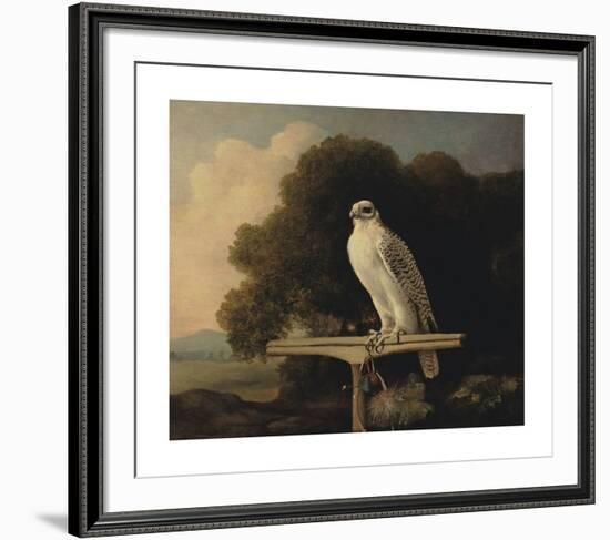 Greenland Falcon-George Stubbs-Framed Premium Giclee Print