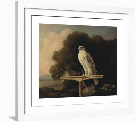 Greenland Falcon-George Stubbs-Framed Premium Giclee Print