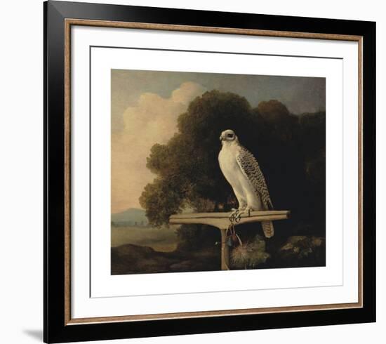 Greenland Falcon-George Stubbs-Framed Premium Giclee Print