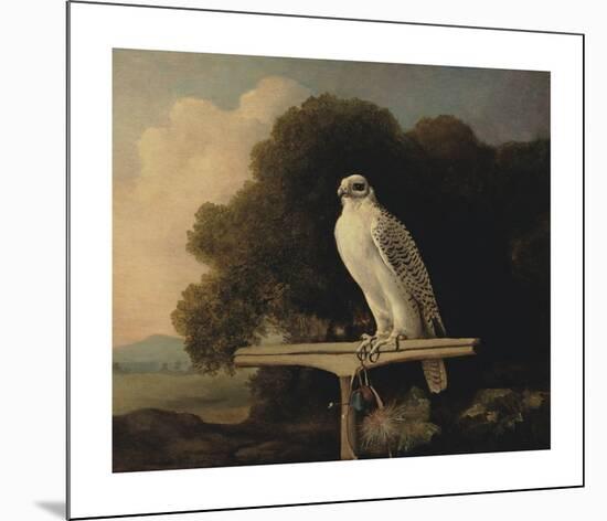 Greenland Falcon-George Stubbs-Mounted Premium Giclee Print