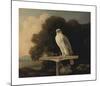 Greenland Falcon-George Stubbs-Mounted Premium Giclee Print