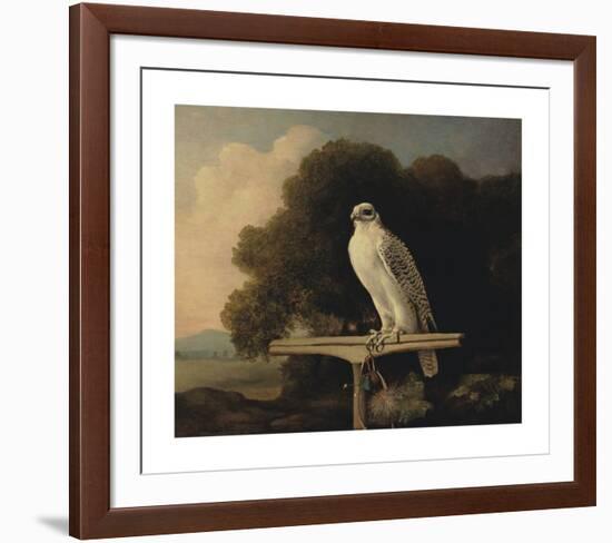 Greenland Falcon-George Stubbs-Framed Premium Giclee Print