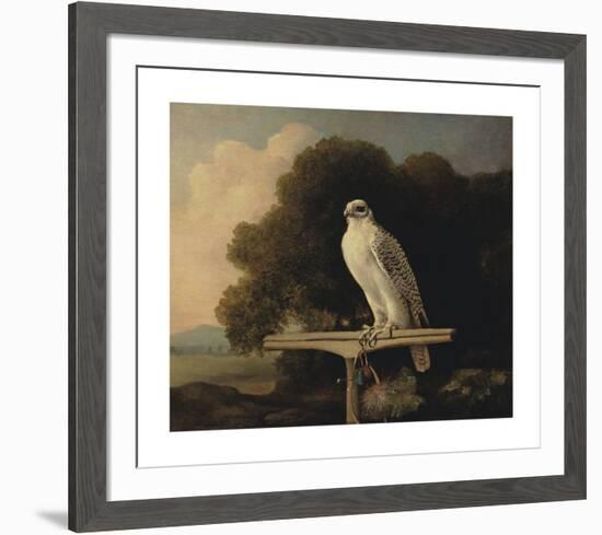 Greenland Falcon-George Stubbs-Framed Premium Giclee Print