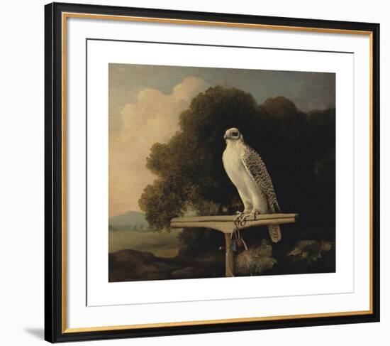 Greenland Falcon-George Stubbs-Framed Premium Giclee Print