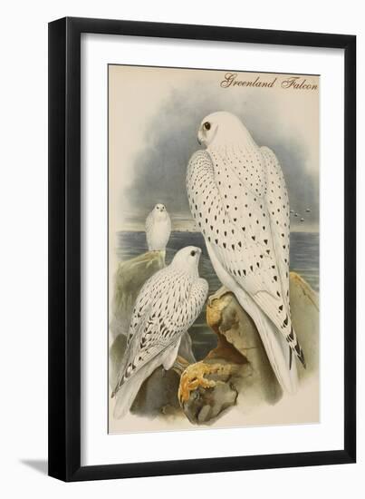 Greenland Falcon-John Gould-Framed Art Print