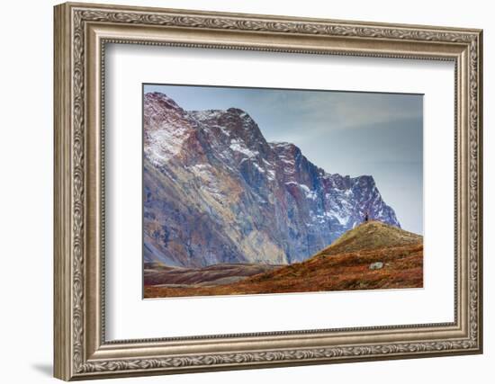 Greenland. Kong Oscar Fjord. Ella Island. Hiker dwarfed by rocky mountains.-Inger Hogstrom-Framed Photographic Print