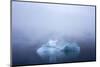 Greenland. Northeast Greenland National Park. Kong Oscar Fjord. Iceberg in dense fog.-Inger Hogstrom-Mounted Photographic Print