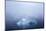 Greenland. Northeast Greenland National Park. Kong Oscar Fjord. Iceberg in dense fog.-Inger Hogstrom-Mounted Photographic Print