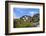 Greenland, Qeqertarsuaq, Cottongrass (Eriophorum angustifolium) in the Hundefjord-Miva Stock-Framed Photographic Print