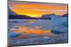 Greenland, Scoresby Sund, Gasefjord. Sunset with icebergs and brash ice.-Inger Hogstrom-Mounted Photographic Print