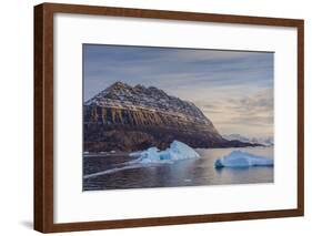 Greenland. Scoresby Sund. Icebergs and deeply eroded mountains.-Inger Hogstrom-Framed Photographic Print