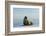 Greenland Sea, Norway, Spitsbergen. Walrus Rests on Summer Sea Ice-Steve Kazlowski-Framed Photographic Print