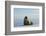 Greenland Sea, Norway, Spitsbergen. Walrus Rests on Summer Sea Ice-Steve Kazlowski-Framed Photographic Print