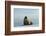 Greenland Sea, Norway, Spitsbergen. Walrus Rests on Summer Sea Ice-Steve Kazlowski-Framed Photographic Print