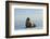 Greenland Sea, Norway, Spitsbergen. Walrus Rests on Summer Sea Ice-Steve Kazlowski-Framed Photographic Print