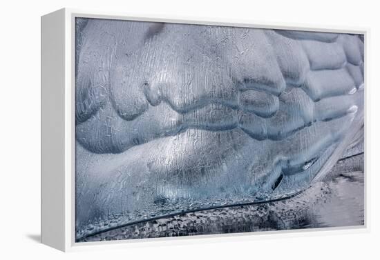 Greenland-Art Wolfe-Framed Premier Image Canvas