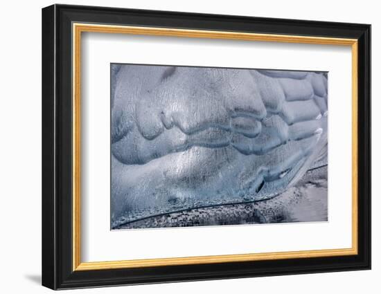 Greenland-Art Wolfe-Framed Photographic Print