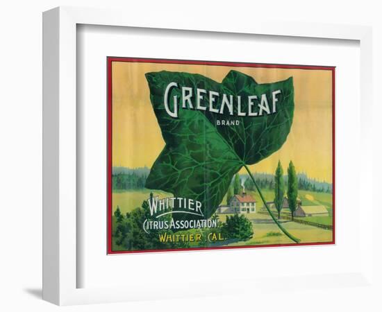 Greenleaf Lemon Label - Whittier, CA-Lantern Press-Framed Art Print