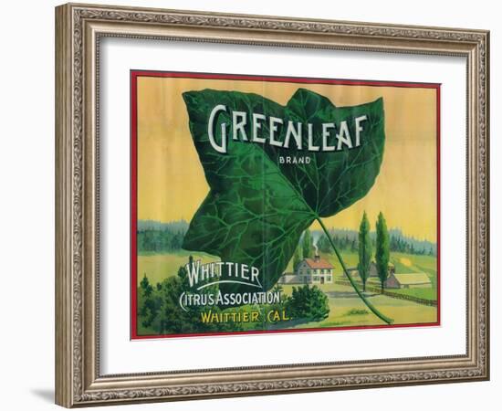 Greenleaf Lemon Label - Whittier, CA-Lantern Press-Framed Art Print