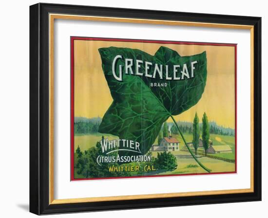 Greenleaf Lemon Label - Whittier, CA-Lantern Press-Framed Art Print