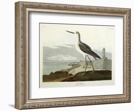 Greenshank, View of the St, 1835-John James Audubon-Framed Giclee Print