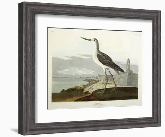 Greenshank, View of the St, 1835-John James Audubon-Framed Giclee Print