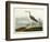 Greenshank, View of the St, 1835-John James Audubon-Framed Giclee Print