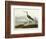 Greenshank, View of the St, 1835-John James Audubon-Framed Giclee Print