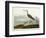 Greenshank, View of the St, 1835-John James Audubon-Framed Giclee Print