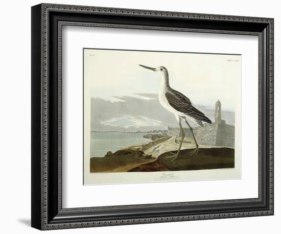 Greenshank, View of the St, 1835-John James Audubon-Framed Giclee Print