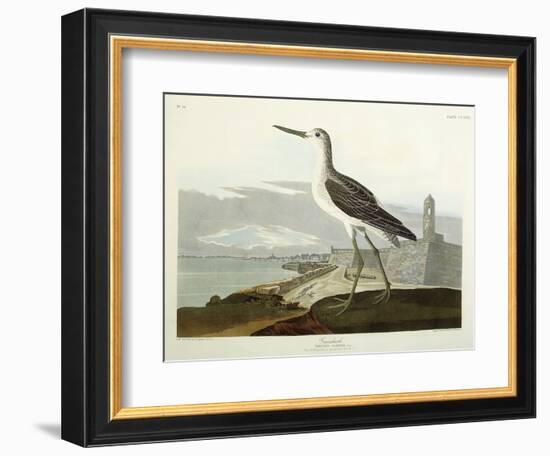 Greenshank, View of the St, 1835-John James Audubon-Framed Giclee Print