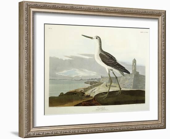 Greenshank, View of the St, 1835-John James Audubon-Framed Giclee Print