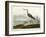 Greenshank, View of the St, 1835-John James Audubon-Framed Giclee Print