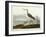 Greenshank, View of the St, 1835-John James Audubon-Framed Giclee Print