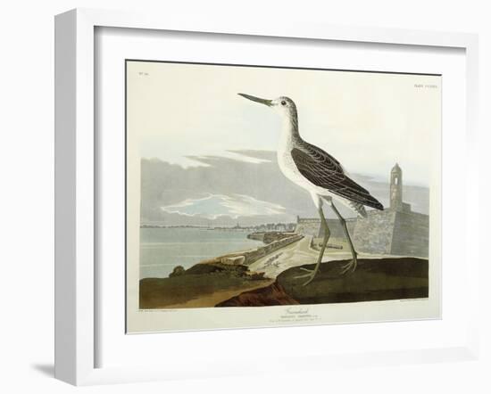 Greenshank, View of the St, 1835-John James Audubon-Framed Giclee Print