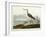 Greenshank, View of the St, 1835-John James Audubon-Framed Giclee Print