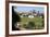 Greenwich Park, London-Peter Thompson-Framed Photographic Print