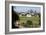 Greenwich Park, London-Peter Thompson-Framed Photographic Print