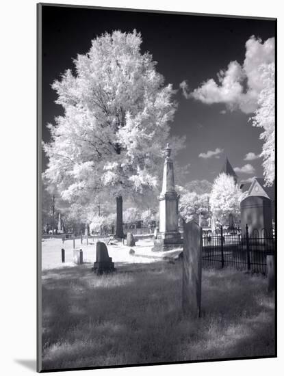 Greenwood Cemetery Is The Original Cemetery In Tuscaloosa, Alabama-Carol Highsmith-Mounted Art Print