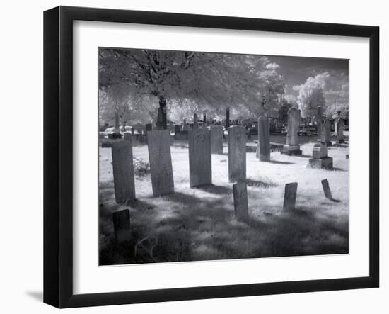 Greenwood Cemetery-Carol Highsmith-Framed Photo