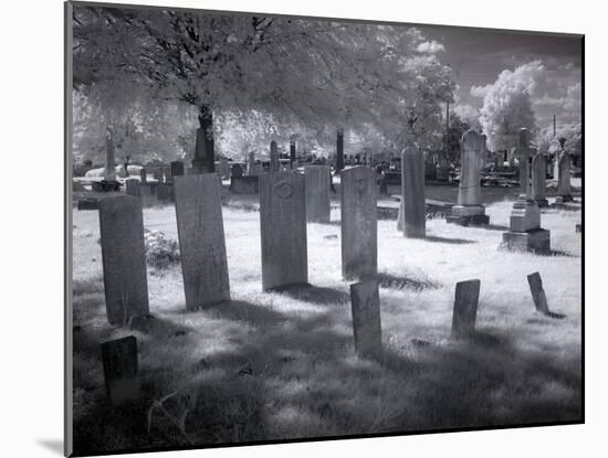 Greenwood Cemetery-Carol Highsmith-Mounted Photo